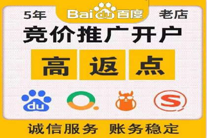 百度推广成功案例分析